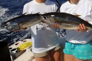 pesca en los cabos