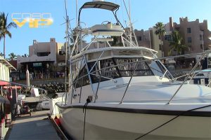 Inolvidable día de Pesca en Los Cabos