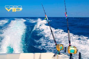 Inolvidable día de Pesca en Los Cabos