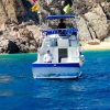 California 28 Fishing Yacht Rental - Image 2