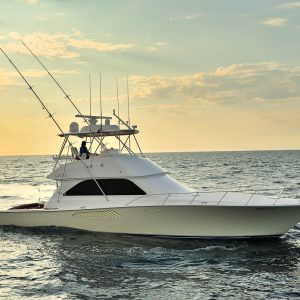 48 FT Viking 2017 | Yacht Charters Cabo