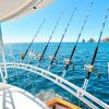 60 FT Viking 2019 | Yacht Charters Cabo - Image 2
