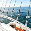 62 FT Viking 2020 | Yacht Charters Cabo - Image 4