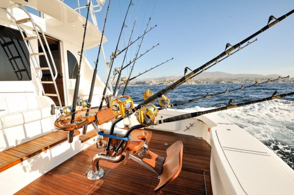 62 FT Viking 2020 | Yacht Charters Cabo - Image 2