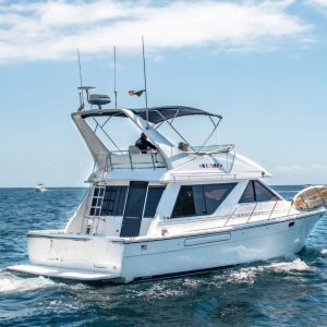 42 FT Bayliner | Renta de Yates Cabo San Lucas