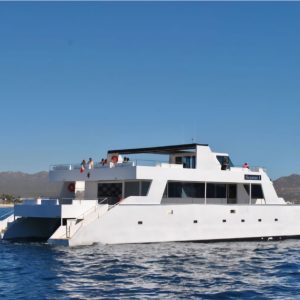 Catamaran 100 ' | Excursión Compartida