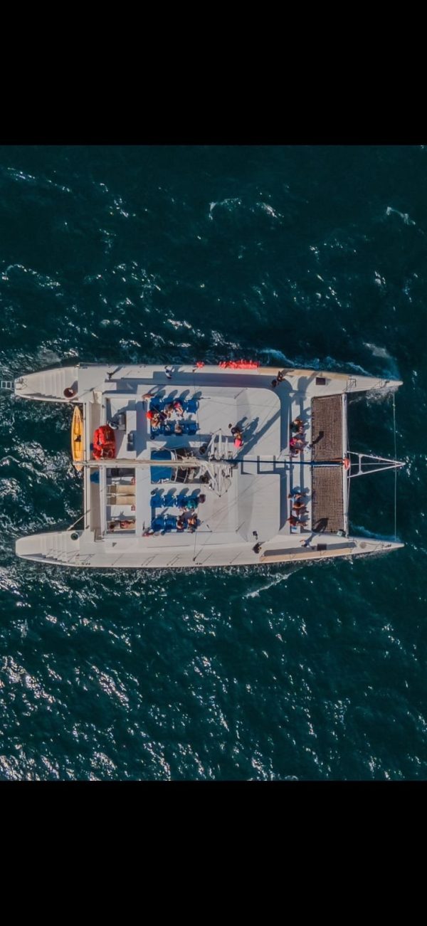 Excursión Compartida en Catamarán en Cabo San Lucas | Catamaran 120 - Image 4