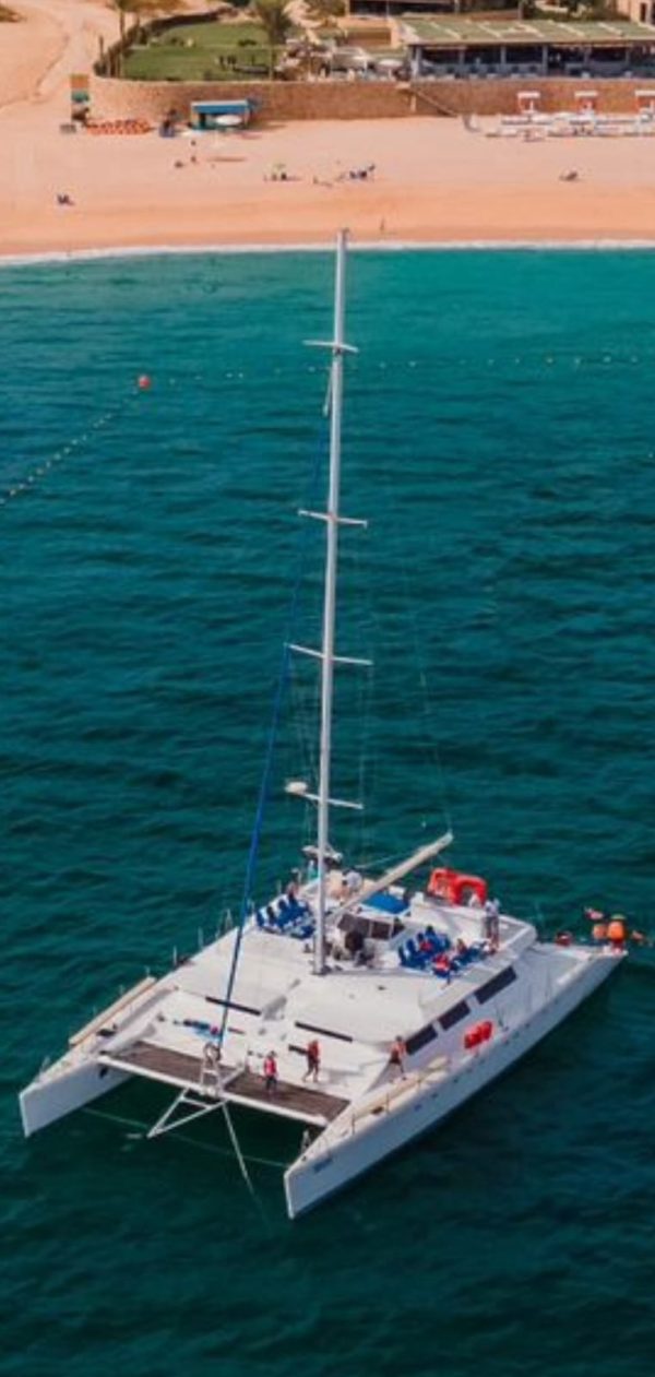 Excursión Compartida en Catamarán en Cabo San Lucas | Catamaran 120 - Image 2