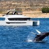 ITAC 60' 2020 | Yacht Charters Cabo - Image 2