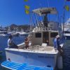 34 FT Beltrán Yacht Rental | Yacht Charter Cabo - Image 2