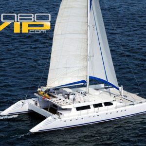 Renta en Los Cabos Catamarán Ampli Tour