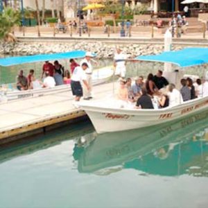 Tour Sabor a Los Cabos