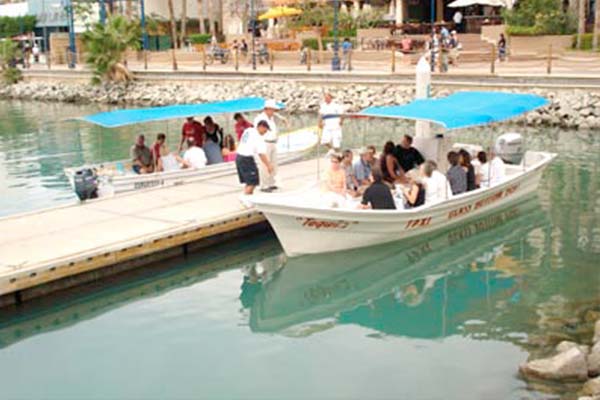 Tour Sabor a Los Cabos